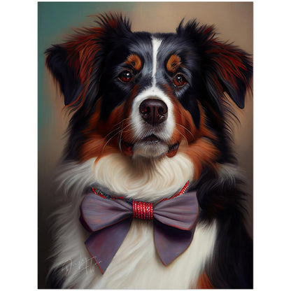 »Australian Shepherd med rosett«