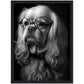 »Spectacled Spaniel« retro poster