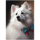 »American Eskimo Dog med rosett«