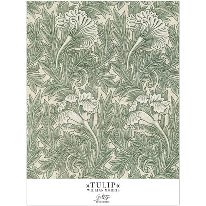 »Tulip, 1«