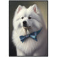 »Samojedhund med rosett«