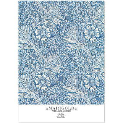 »Marigold«