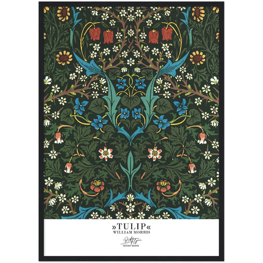 »Tulip, 2«