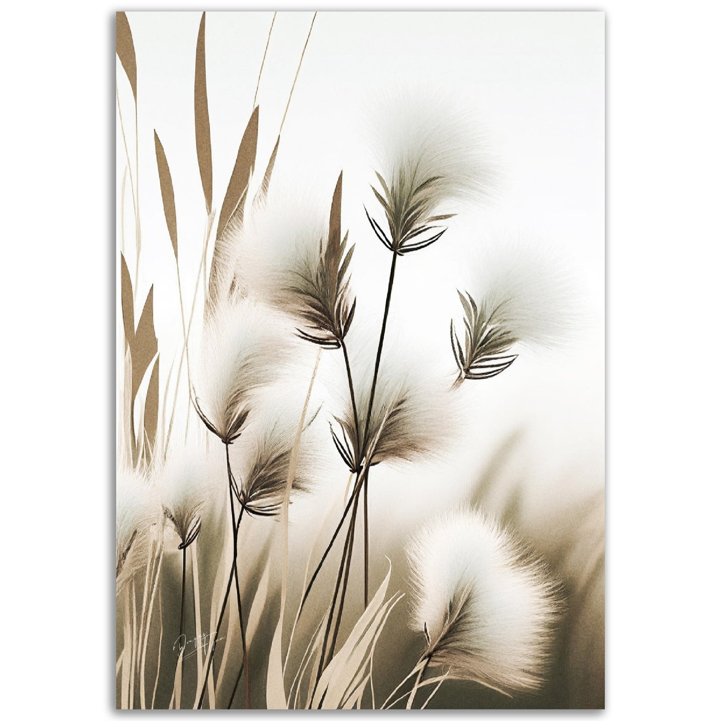 »Cutton Grass« designposter