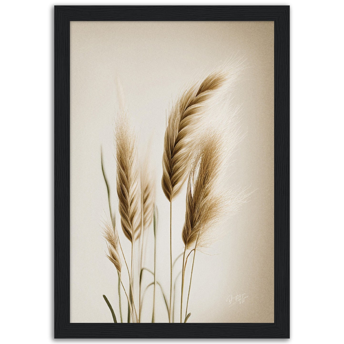 »Grass« designposter
