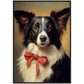 »Border Collie med rosett«