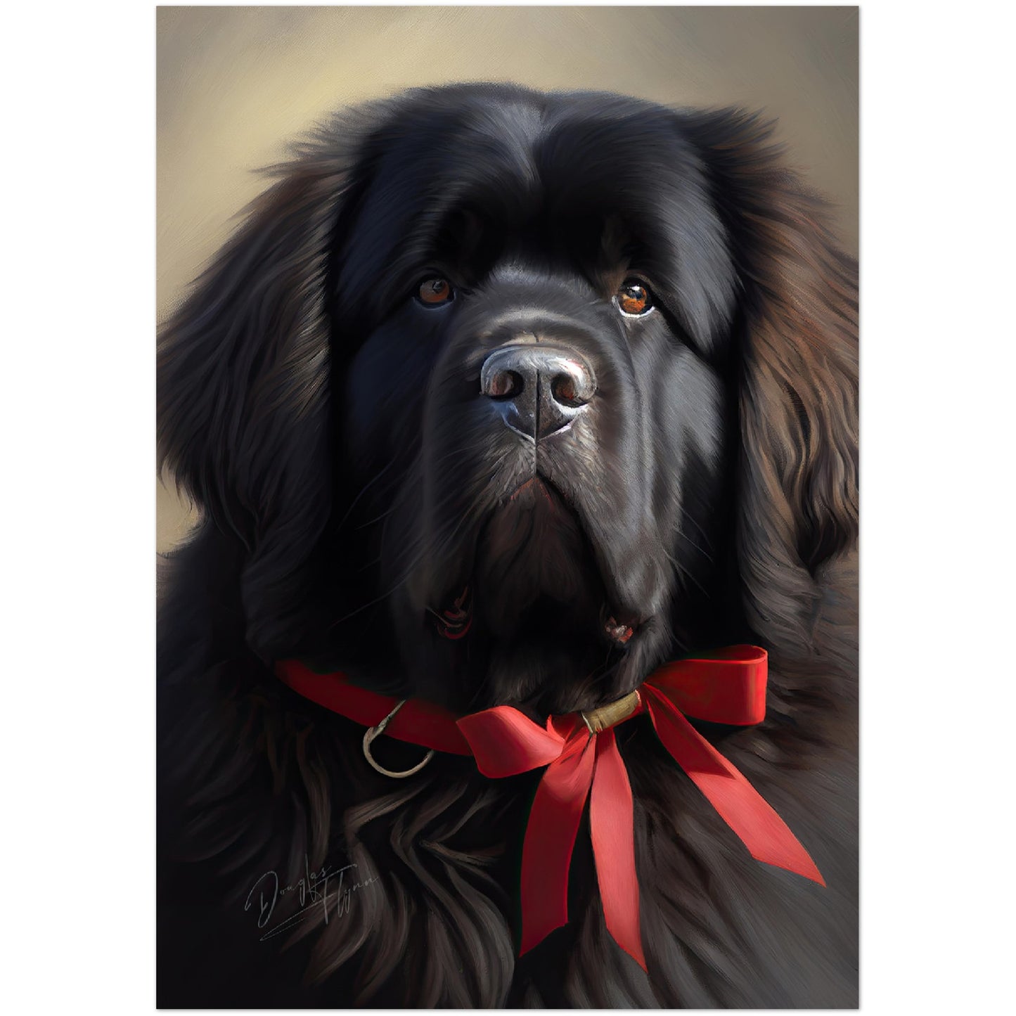 »Newfoundland med rosett«