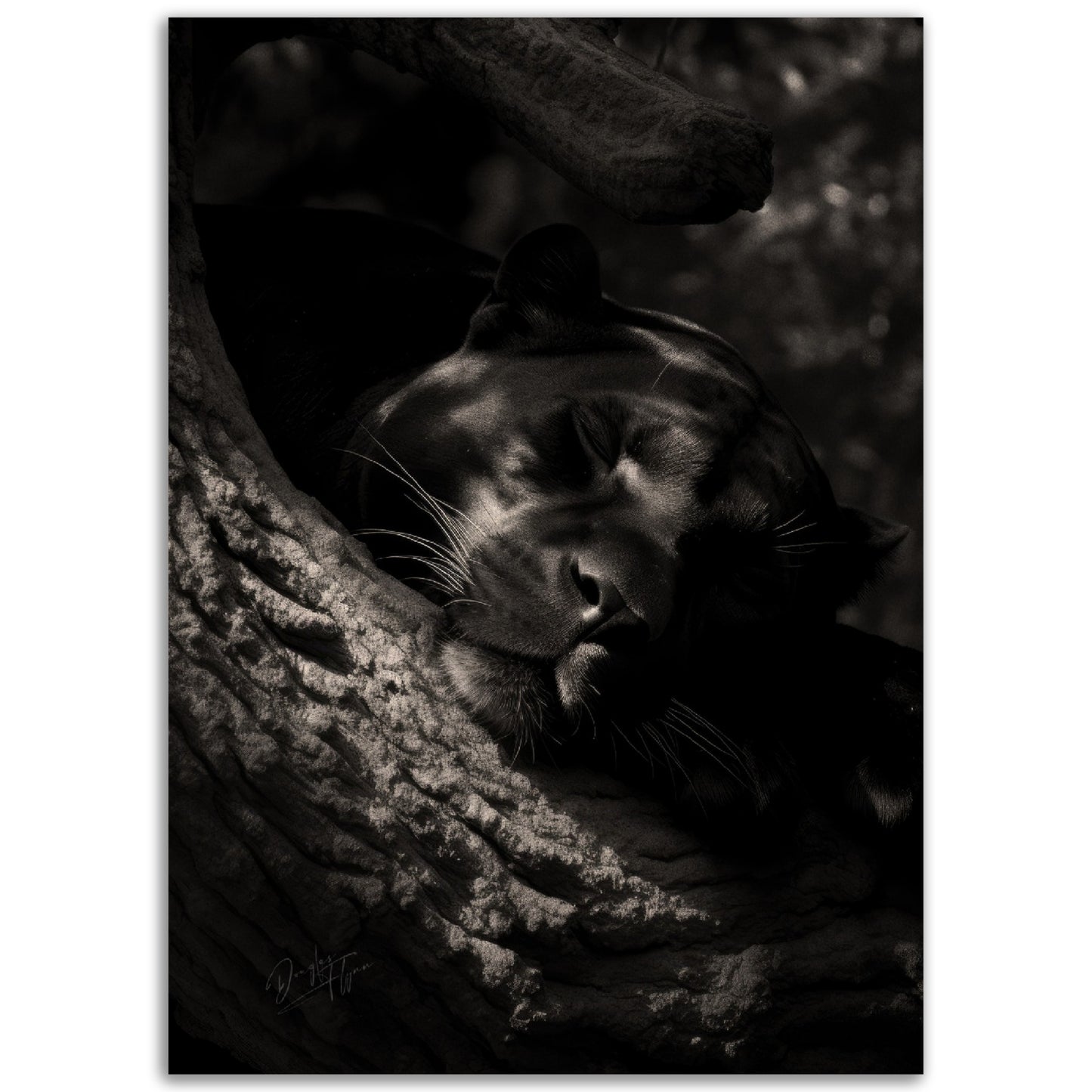 »Peaceful Slumber« poster