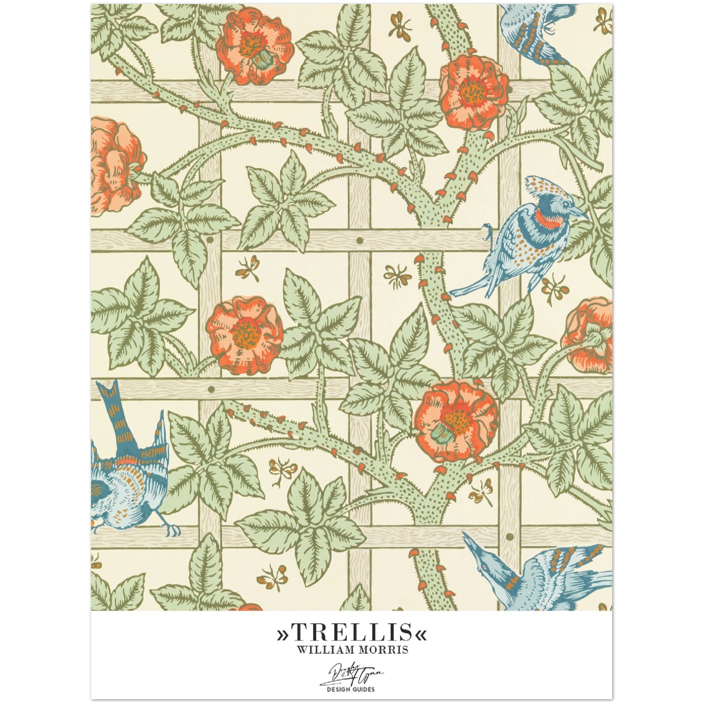 »Trellis«