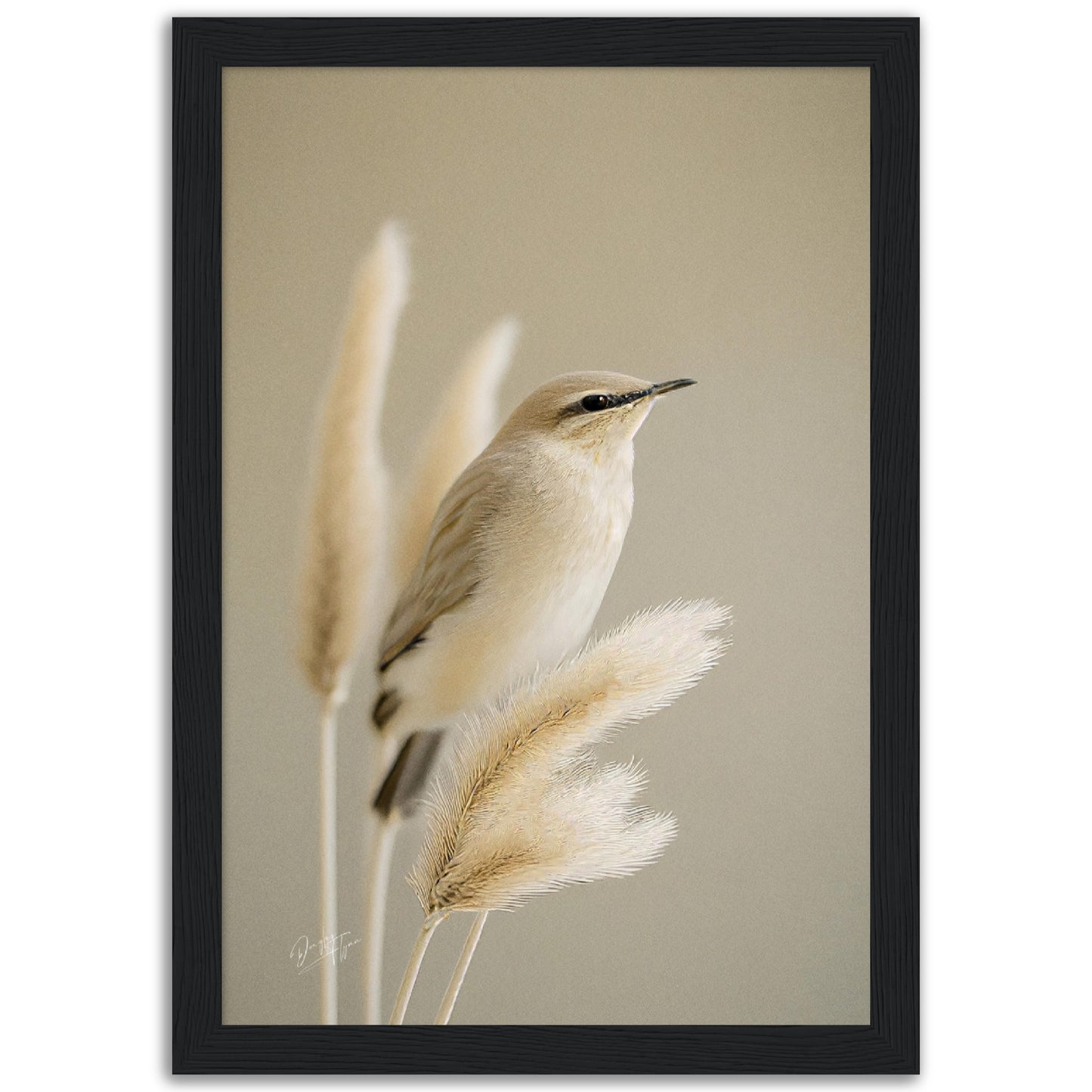 »Bird and Grass« designposter