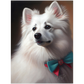 »American Eskimo Dog med rosett«