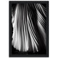 »White Textures« poster