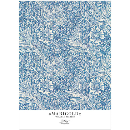 »Marigold«