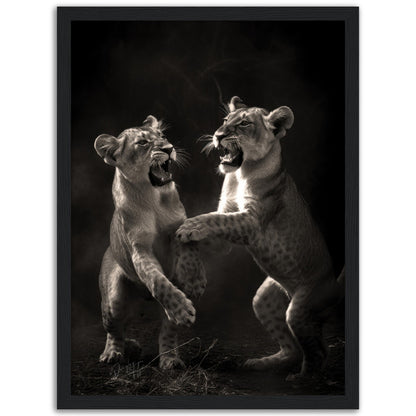 »Rough and Tumble« poster