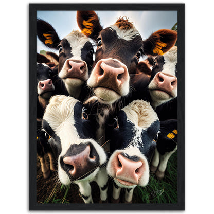 »Critter Clicks«