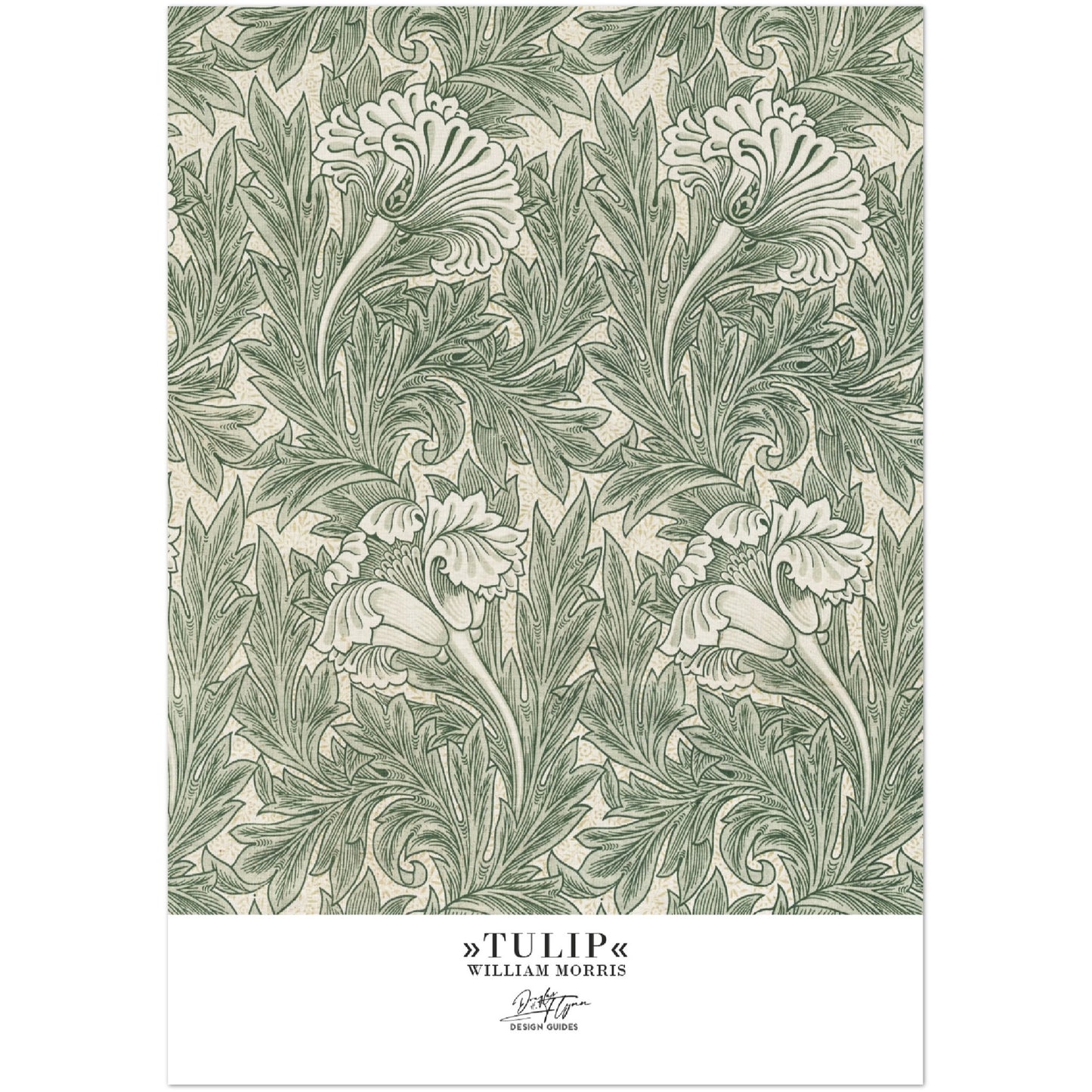 »Tulip, 1«