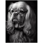 »Spectacled Spaniel« retro poster