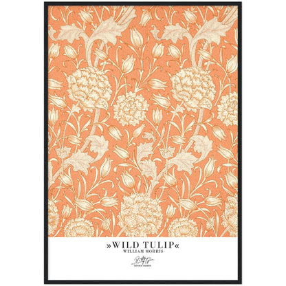 »Wild Tulip«