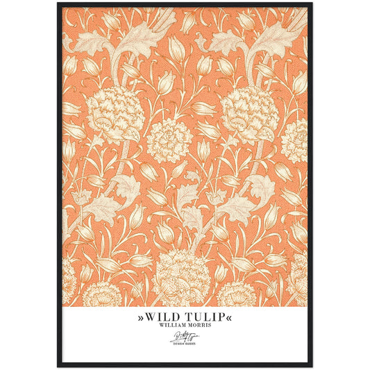 »Wild Tulip«