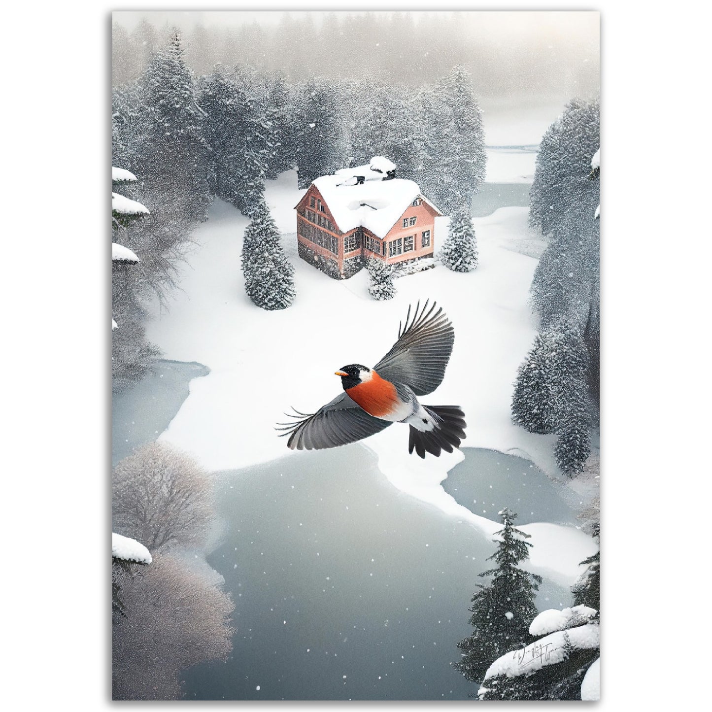 »Animal Angles«