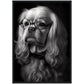 »Spectacled Spaniel« retro poster