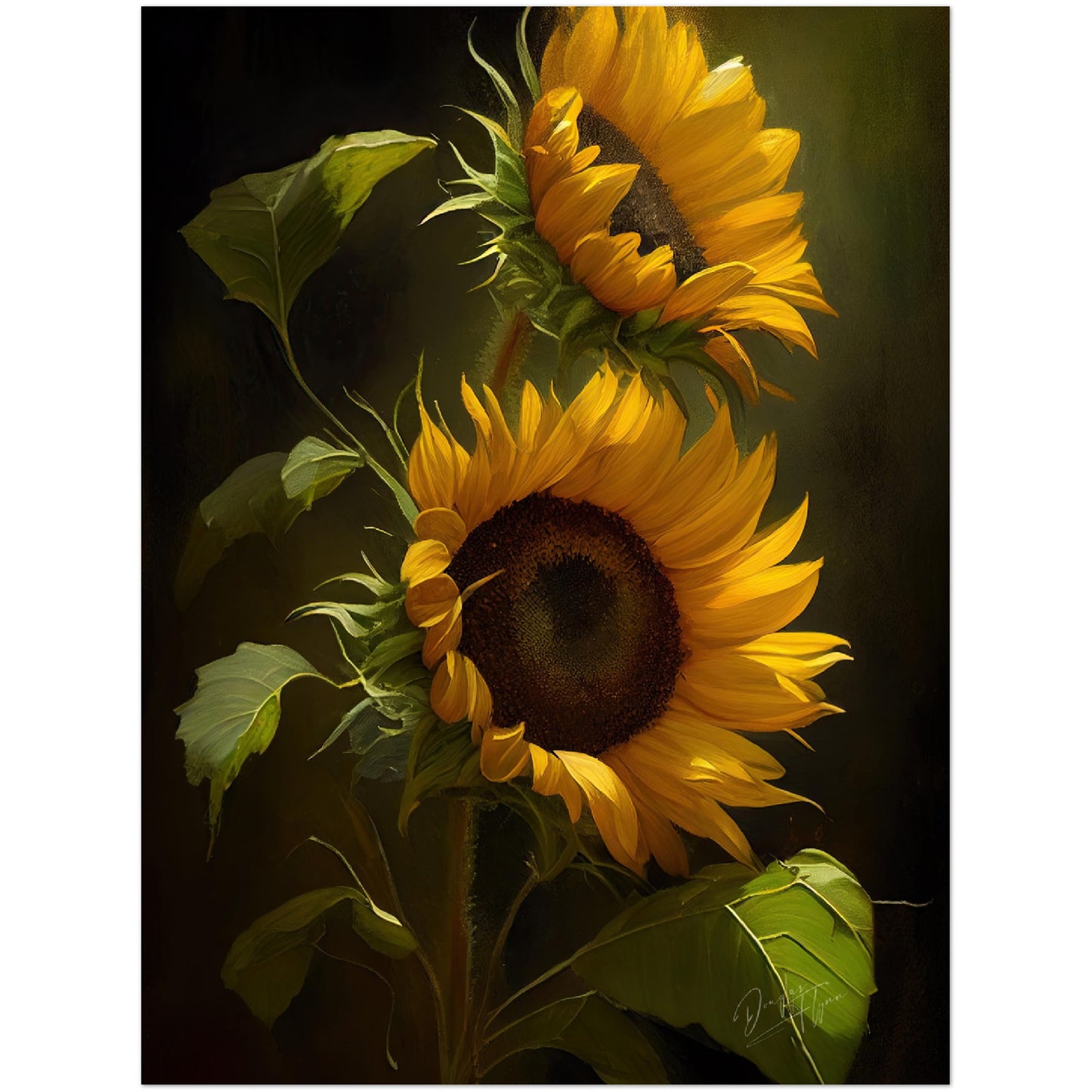 »Intimate Florals« retro poster