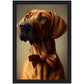 »Rhodesian Ridgeback med rosett«
