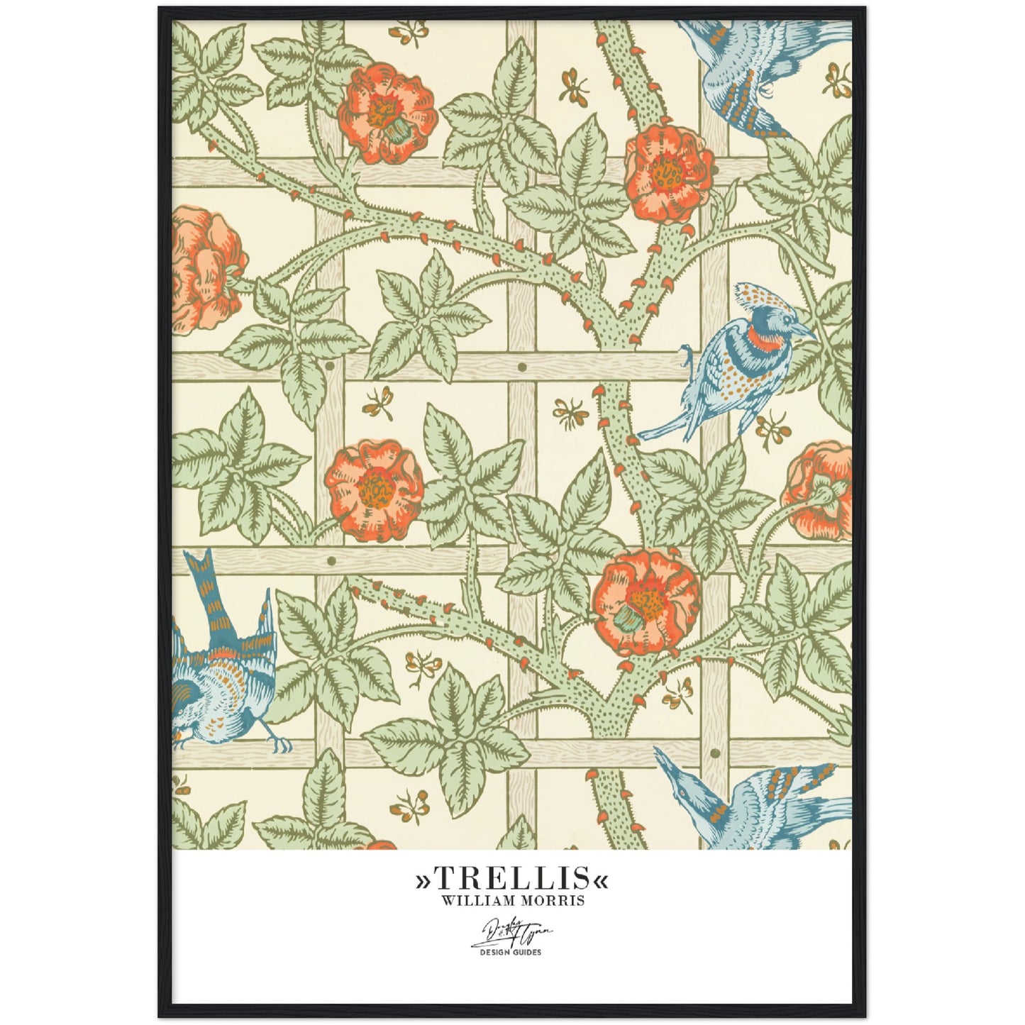 »Trellis«