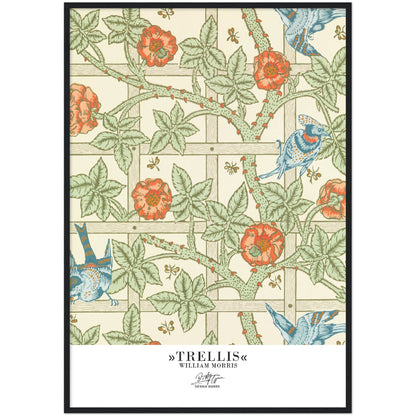 »Trellis«