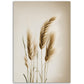 »Grass« designposter