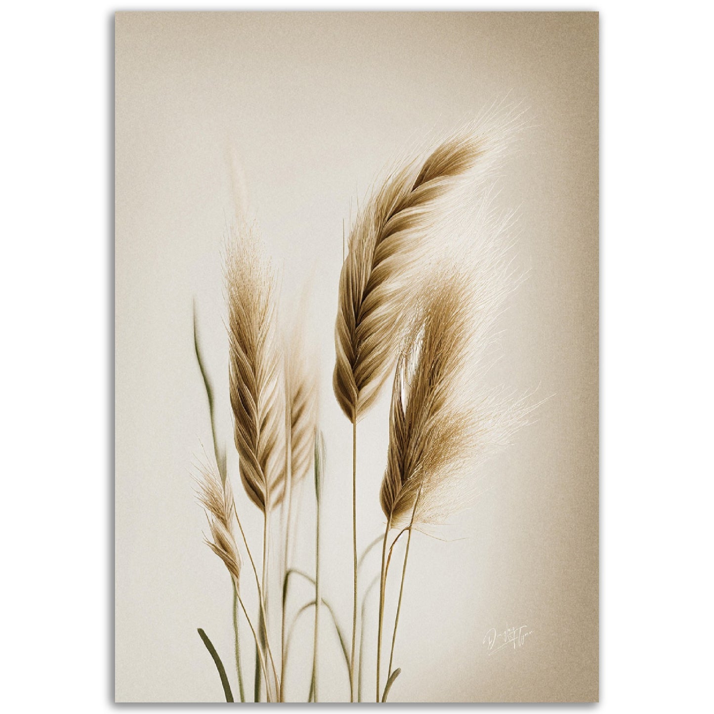 »Grass« designposter