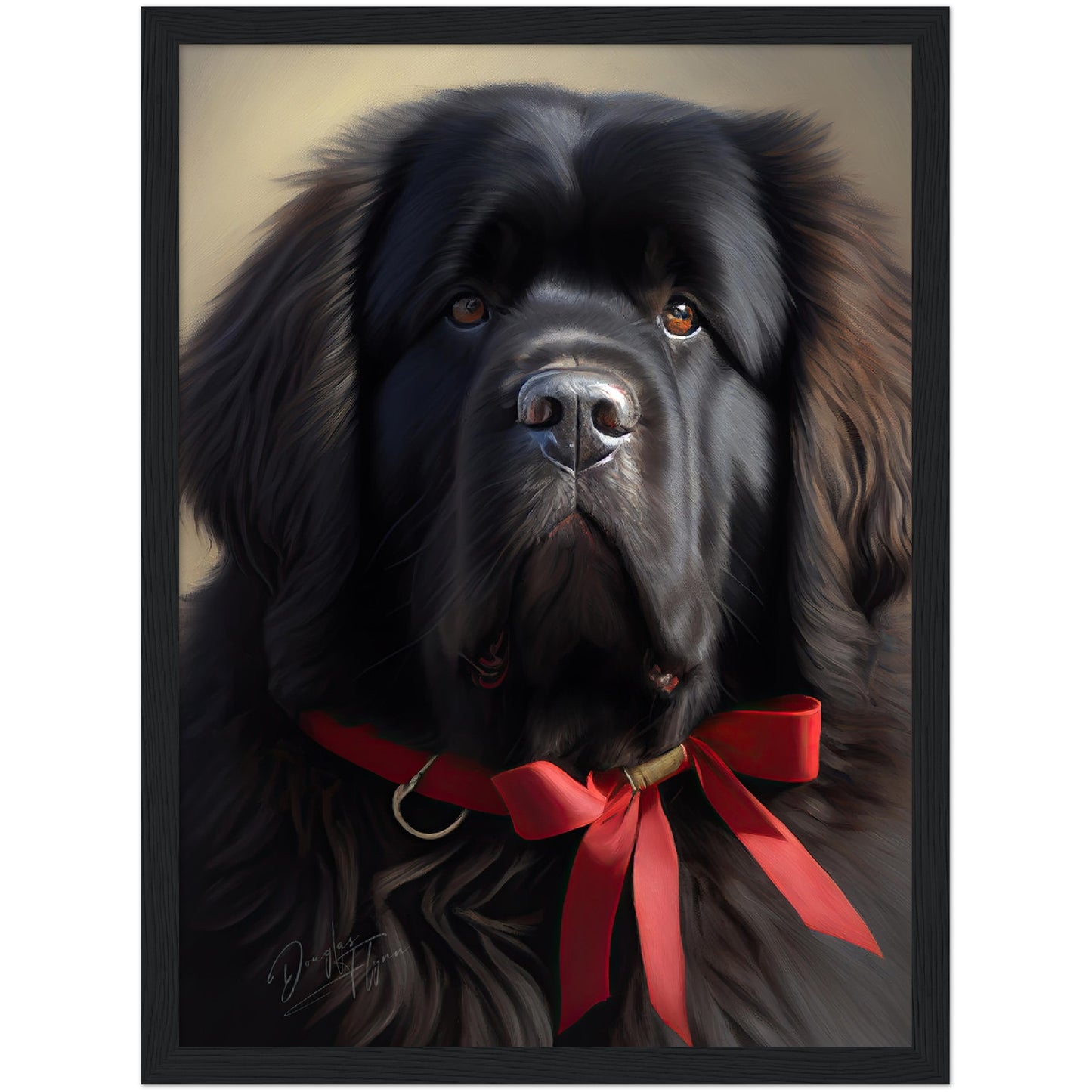»Newfoundland med rosett«