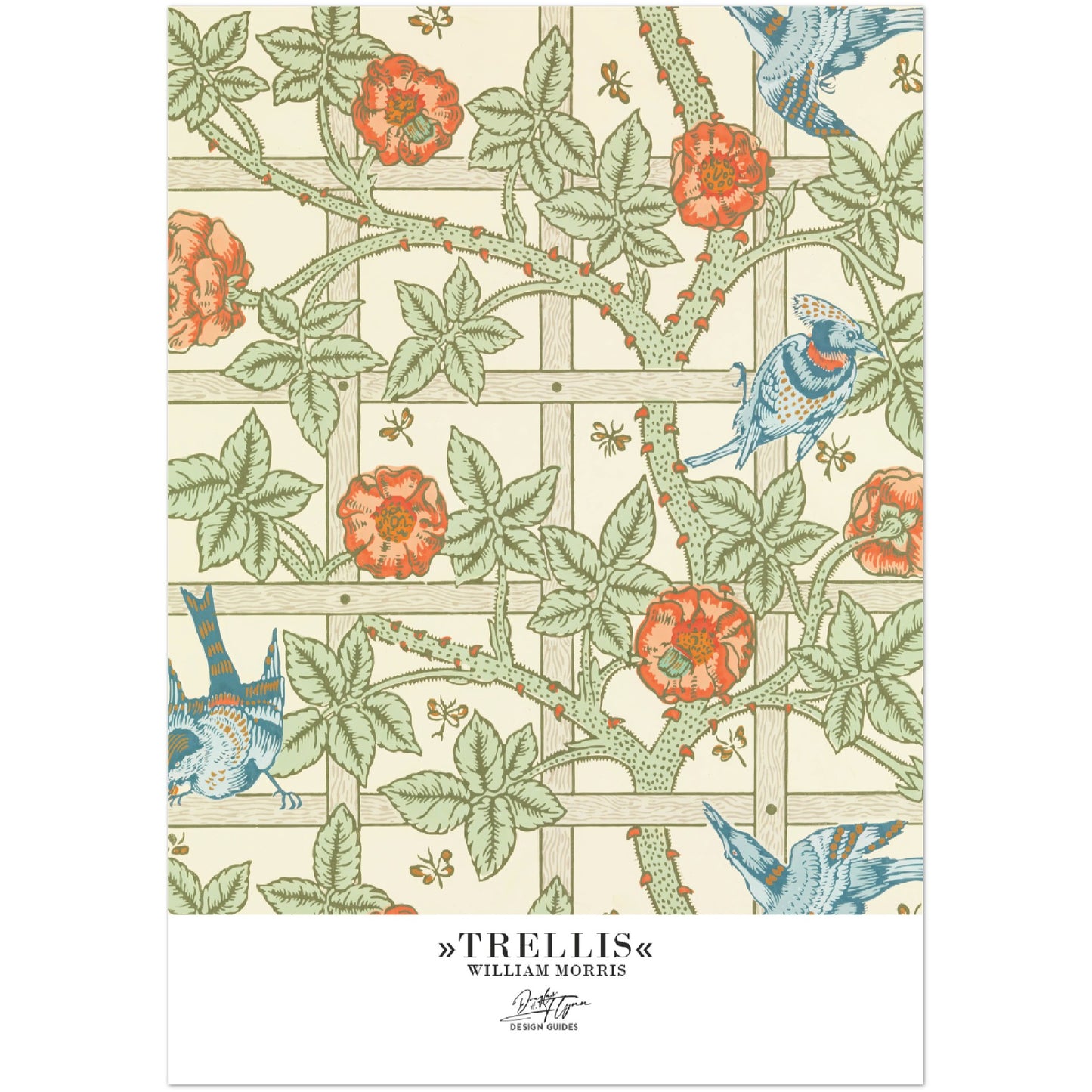 »Trellis«