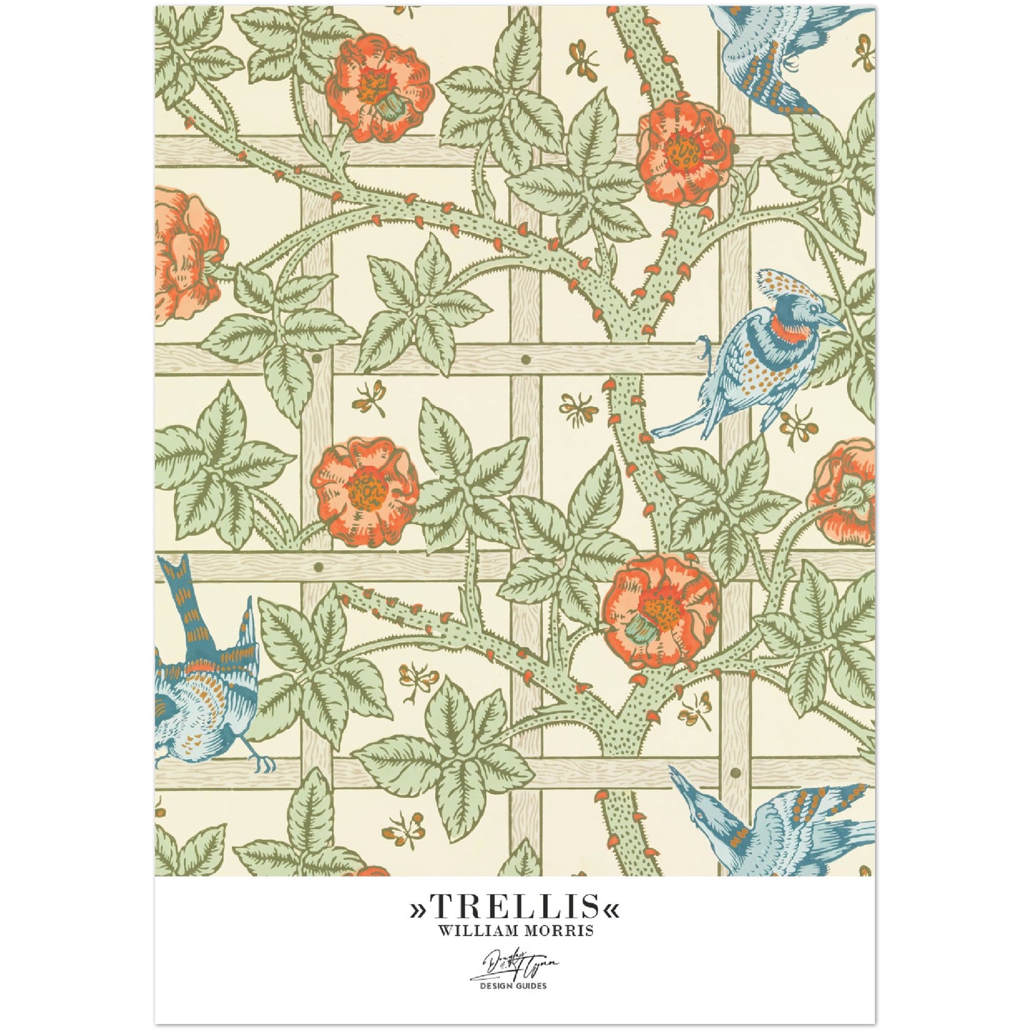 »Trellis«