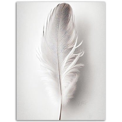 »Found a White Feather no 2« designposter