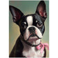 »Boston Terrier med rosett«