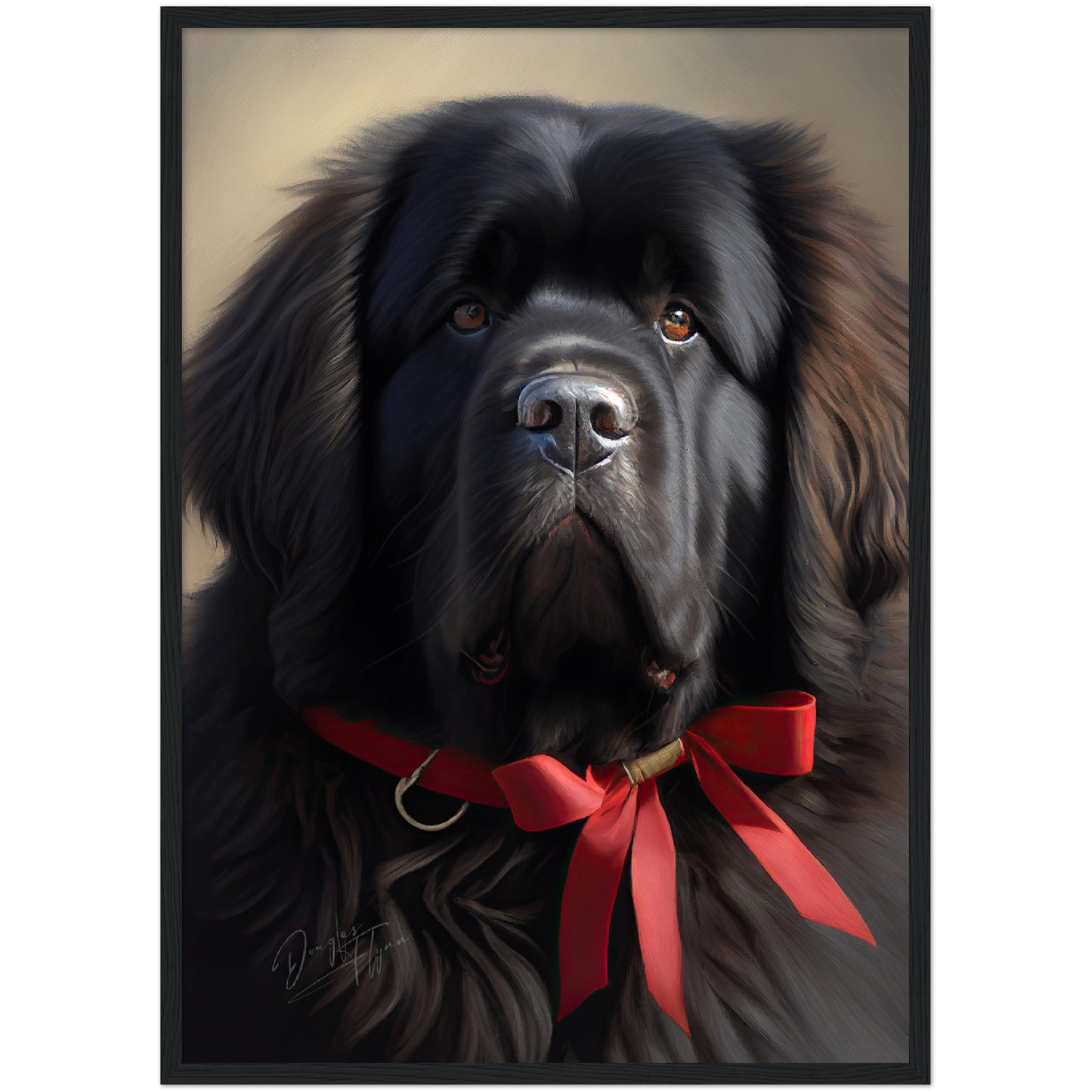 »Newfoundland med rosett«