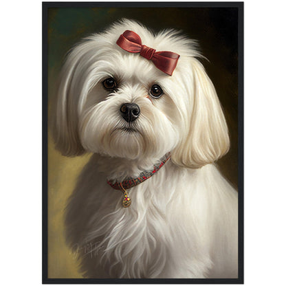 »Maltese med rosett«