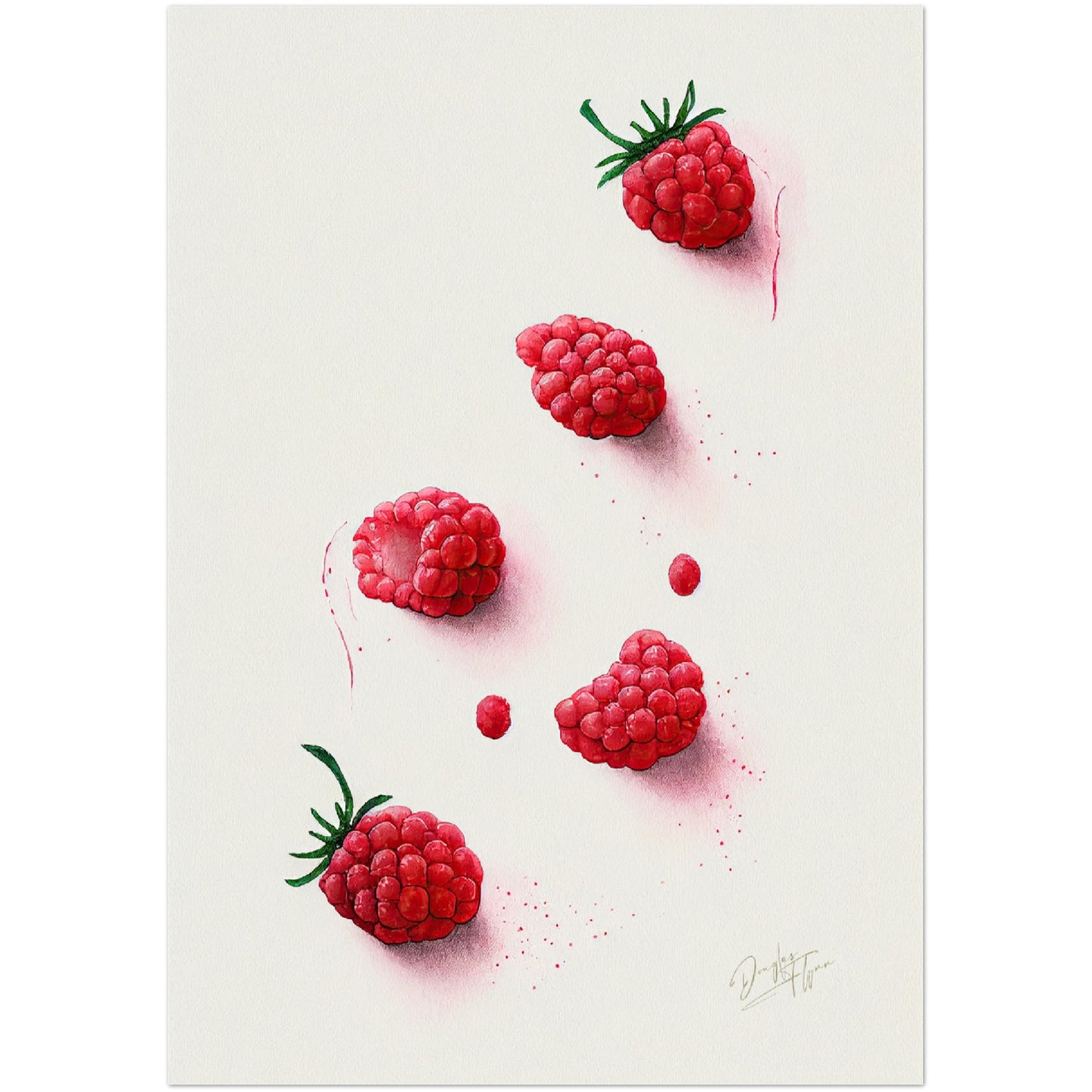 »Rasberries Watercolor Moods« retro poster