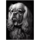 »Spectacled Spaniel« retro poster